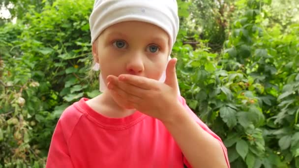 Little girl with blue eyes eating raspberries in the garden — Stock Video