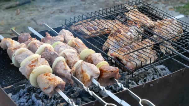 Churrasco e churrasqueira conjunto com peixe para festa em casa na natureza ao ar livre — Vídeo de Stock