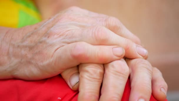 Oude en jonge handen knuffelen — Stockvideo