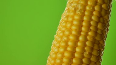 Bir koşu su veya taze mısır taneleri üzerinde düşen damlaları