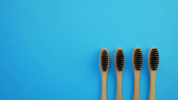 Toothbrushes on blue background — Stock Video