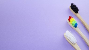 Siyah beyaz ve gökkuşağı bambu diş fırçaları menekşe veya mor zemin üzerine. Irkçılık, sosyal dışlanma, depresyon ya da yalnızlık, sosyal sorunlar ya da yasa dışı göç kavramı