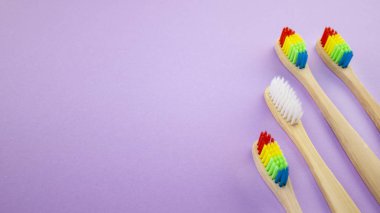 Beyaz ve gökkuşağı ahşap diş fırçaları menekşe veya mor zemin üzerine. Irkçılık, sosyal dışlanma, depresyon ya da yalnızlık, sosyal sorunlar ya da yasa dışı göç kavramı
