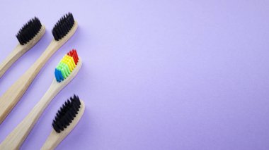 Siyah ve gökkuşağı ahşap diş fırçaları menekşe veya mor zemin üzerine. Irkçılık, sosyal dışlanma, depresyon ya da yalnızlık, sosyal sorunlar ya da yasa dışı göç kavramı
