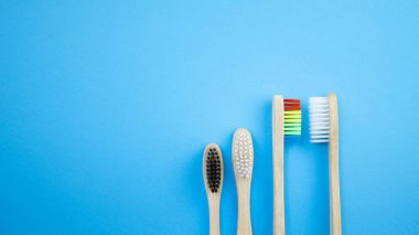 Siyah beyaz ve gökkuşağı bambu diş fırçaları mavi zemin üzerine. Irkçılık, sosyal dışlanma, depresyon ya da yalnızlık, sosyal sorunlar ya da yasa dışı göç kavramı