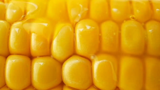 Pouring hot butter or oil over ripe yellow fresh corn on cobs — Stock Video