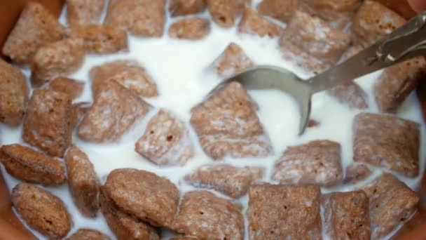 Cuscino di cereali al latte bianco e cioccolato con cucchiaio — Video Stock