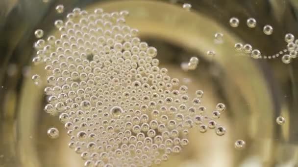 Muchas pequeñas burbujas de champán en una copa de champán — Vídeo de stock