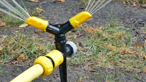 Желтый черный полив газонного разбрызгивателя распыляет воду — стоковое видео