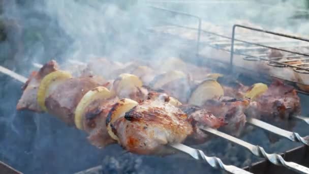 Čerstvé hovězí steak nebo váleček z vepřové panenky na grilu na venkovní přírody — Stock video