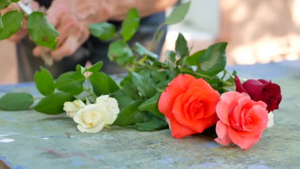 Ανθοπωλείο γυναίκα κάνοντας μπουκέτο τριαντάφυλλα ροζ, λευκό και κόκκινο για το λουλούδι κατάστημα — Αρχείο Βίντεο