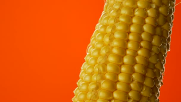 Drops of water run down or falling on grains of fresh corn — Stock Video