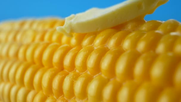 Вкусный свежий кусок масла, плавящийся на спелых желтых свежих кукурузах на початках — стоковое видео
