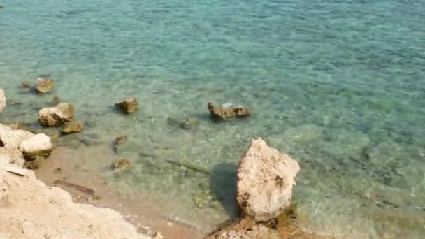 Wasser Meer oder Ozean am Strand mit versteinerten Korallensteinen — Stockvideo