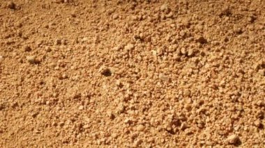 Sands kayıp Bitcoin