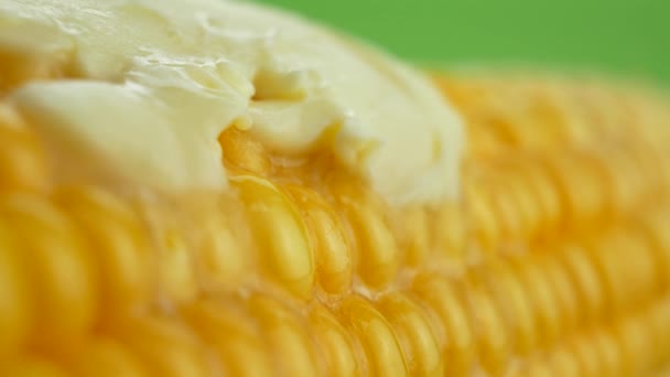 Tasty fresh piece of butter melting on ripe yellow fresh corn on cobs — Stock video