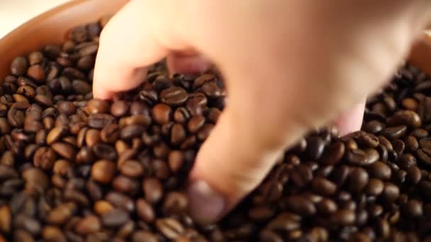 Productor de café y granos de café tostados — Vídeo de stock