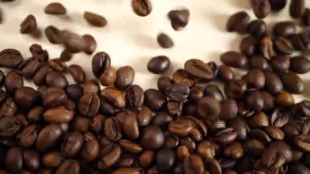 Groupe de grains de café brun torréfié — Video