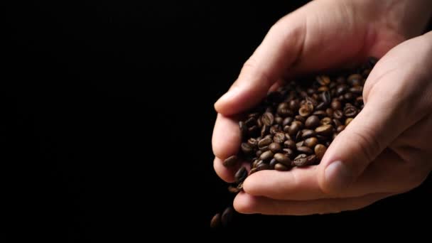 Farmer with roasted coffee beans — Stock Video
