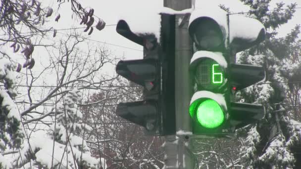 Trafik ışıkları ile kış yol — Stok video