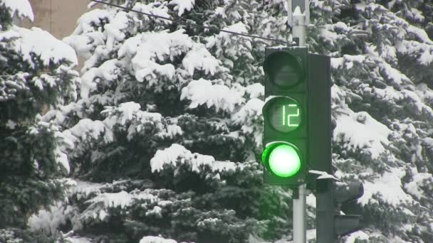 O sinal de trânsito que mostra a luz verde e vermelha é coberto com neve — Vídeo de Stock