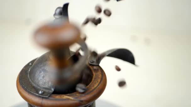 Geröstete braune Kaffeebohnen vor der Mühle — Stockvideo