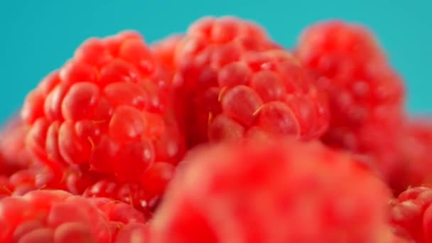 Framboises fraîches et sucrées — Video