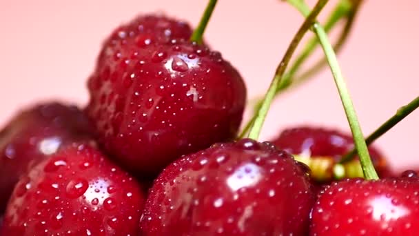 Cereza roja oscura jugosa madura con gotas de agua — Vídeos de Stock