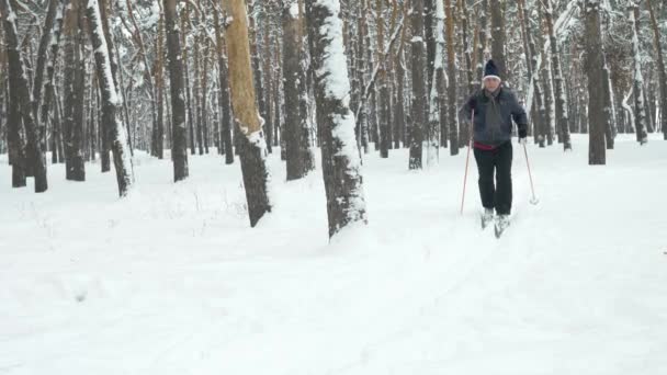 老年人越野滑雪 — 图库视频影像