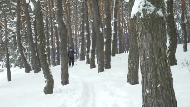 Exercices de vieil homme pour améliorer sa santé par le ski de fond — Video