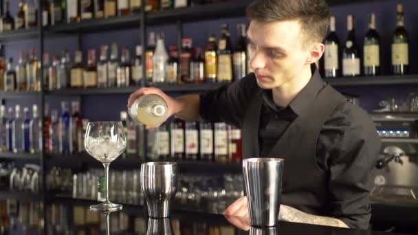 Barmann macht alkoholisches Getränk — Stockvideo