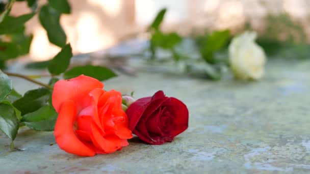 花店妇女制作粉红色 白色和红色玫瑰花束为花卉商店户外 — 图库视频影像