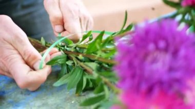 Buket mor ya da mor, pembe Michaelmas'la papatya veya aster yapma çiçekçi