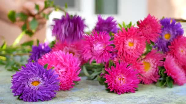 Femme fleuristes mains faisant bouquet avec marguerite michaelmas ou aster — Video