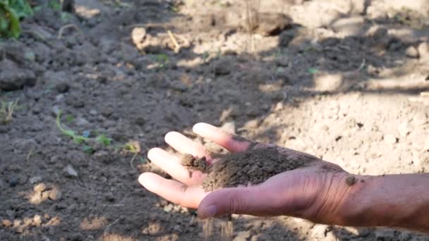 Mãos de jardineiro preparando o solo para a planta cultivada de sementes no solo — Vídeo de Stock