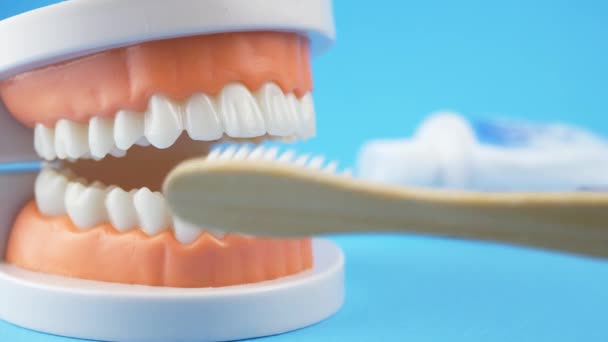 Zubař, učí, jak čistit zuby — Stock video