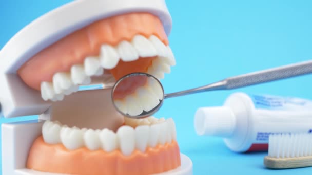 El médico dental examina la cavidad oral — Vídeos de Stock