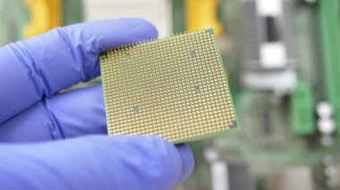 Mühendis mavi eldiven ile Cpu çip işlemci tutar