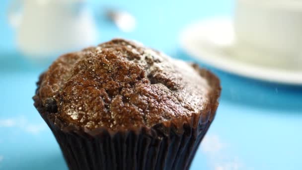 Порошок или касторовый сахар падает на шоколадный торт — стоковое видео
