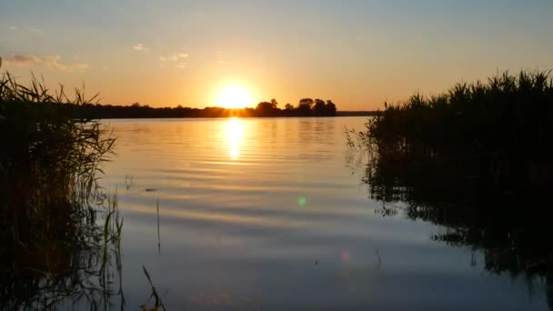 Zonsondergang op de rivier — Stockvideo