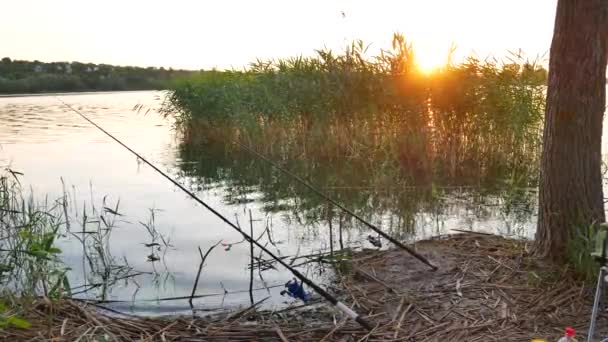 Рибальський стрижень на річці — стокове відео
