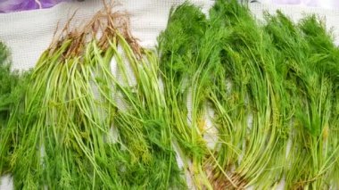 Taze organik dereotu masada demet