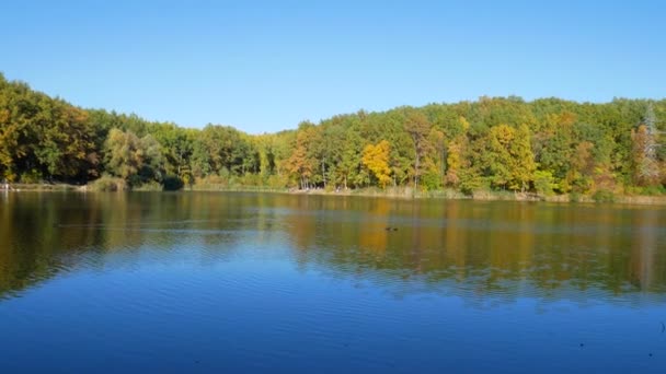 Fogliame colorato autunno con lago — Video Stock