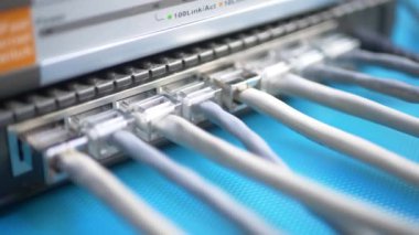 Standart telekomünikasyon ağ arayüzü RJ45 ile teller internet yönlendirici kutusunun limanlarında
