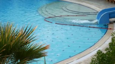 Palmiye ağacının yanında Havuzu