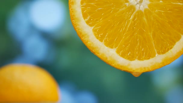 Капли сока стекают по оранжевым фруктам в саду — стоковое видео