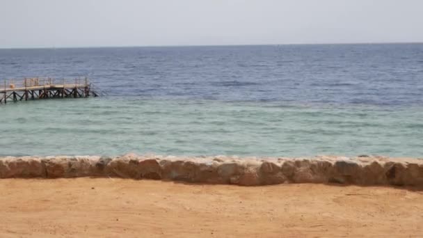 Море воды или океан на пляже — стоковое видео
