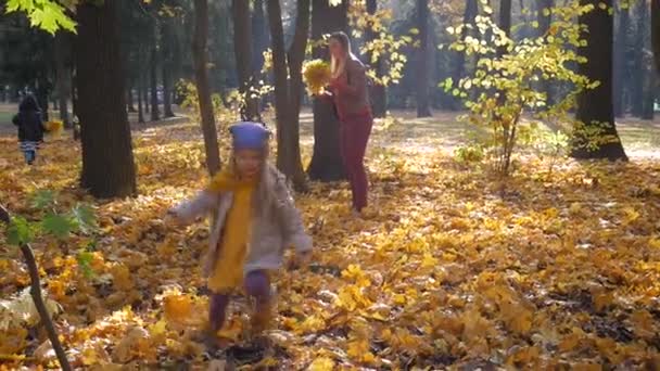 Pouco bonito menina pulando em folhas no parque no outono e árvores — Vídeo de Stock