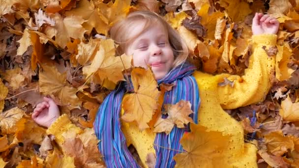 Sonriente niña feliz acostada en las hojas de otoño — Vídeo de stock