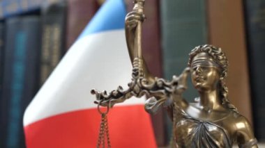 Kitap ve Fransa bayrağı arka plan ile Bookshelf ile Lady Justice heykeli